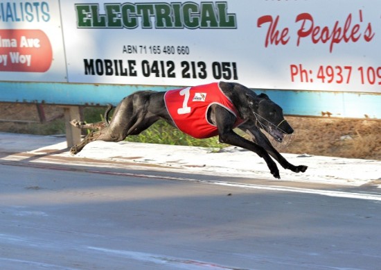 Kensa wining on debut at The Gardens - Photo courtesy of Steve Whalland Race Images - 0415146721